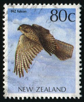 NEW ZEALAND - CIRCA 1985: The falcon flies, circa 1985.