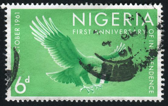 NIGERIA - CIRCA 1961: Brown snake-eagle diving onto its prey, circa 1961.