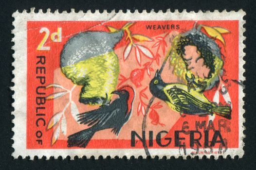 NIGERIA - CIRCA 1965: Fauna of Nigeria. Weaverbirds, circa 1965.