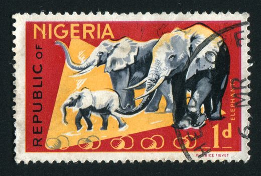 NIGERIA - CIRCA 1965: Fauna of Nigeria. elephant, circa 1965.