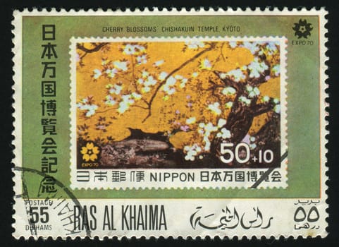 RAS AL KHAIMA - CIRCA 1970: In Japan the Oriental cherry blossoms, circa 1970.