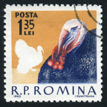 ROMANIA - CIRCA 1963: The image of a cock. Poultry, circa 1963.