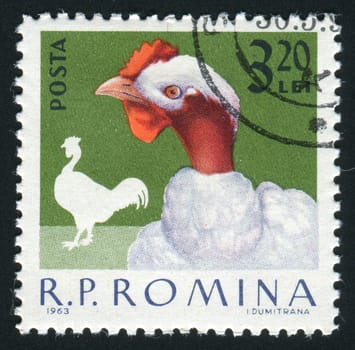 ROMANIA - CIRCA 1963: The image of a cock. Poultry, circa 1963.
