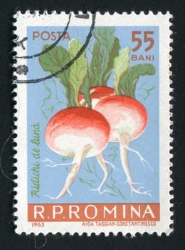 ROMANIA -CIRCA 1963: The radish is an edible root vegetable of the Brassicaceae family that was domesticated in Europe in pre-Roman times, circa 1963.