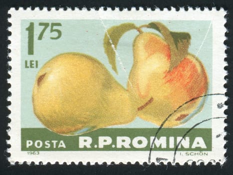 ROMANIA -CIRCA 1963: The image of two pears, circa 1963.