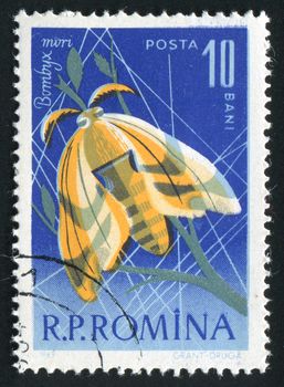 ROMANIA -CIRCA 1963: The silkworm is the larva or caterpillar of the domesticated silkmoth, Bombyx mori, circa 1963.