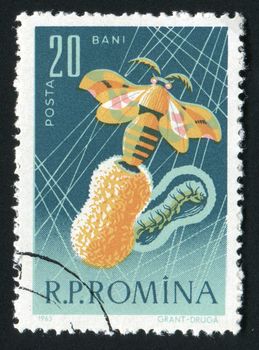 ROMANIA -CIRCA 1963: The silkworm is the larva or caterpillar of the domesticated silkmoth, Bombyx mori. Chrysalis, moth and worm, circa 1963.