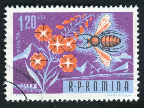 ROMANIA -CIRCA 1963: Bees are flying insects closely related to wasps and ants, and are known for their role in pollination and for producing honey and beeswax, circa 1963.