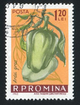 ROMANIA - CIRCA 1963: Mild peppers. Vegetables hang on a branch, circa 1963.