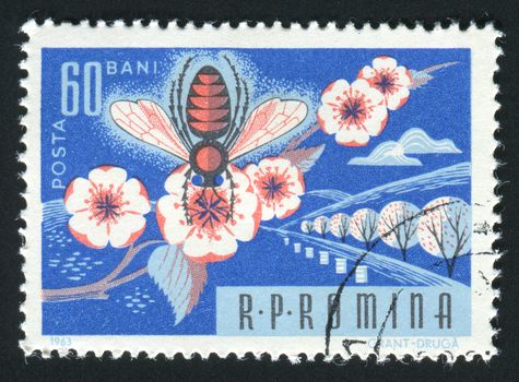 ROMANIA -CIRCA 1963: Bees are flying insects closely related to wasps and ants, and are known for their role in pollination and for producing honey and beeswax, circa 1963.
