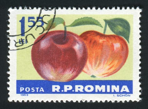 ROMANIA -CIRCA 1963: The apples hangs on a branch, circa 1963.