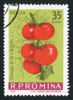 ROMANIA - CIRCA 1963: The tomato hangs on a branch, circa 1963.