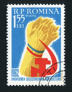ROMANIA - CIRCA 1962: Sheaf of wheat a crop symbol, circa 1962.