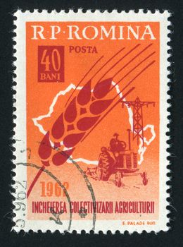 ROMANIA - CIRCA 1962: Sheaf of wheat a crop symbol, circa 1962.