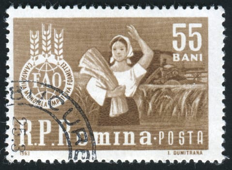 ROMANIA - CIRCA 1963: Beautiful brunette woman in a wheat field and �FAO� Emblem, circa 1963.