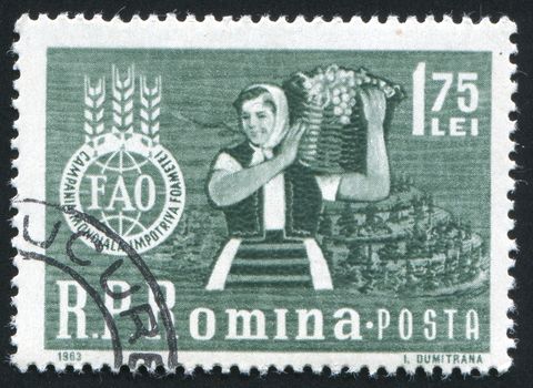 ROMANIA - CIRCA 1963: Beautiful brunette woman in a wheat field and �FAO� Emblem, circa 1963.