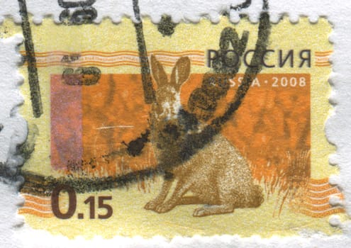 RUSSIA -CIRCA 2009: The hare sits on a grass, circa 2009.