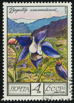 RUSSIA -CIRCA 1976: Flowers of the Caucasus: Columbine, circa 1976.