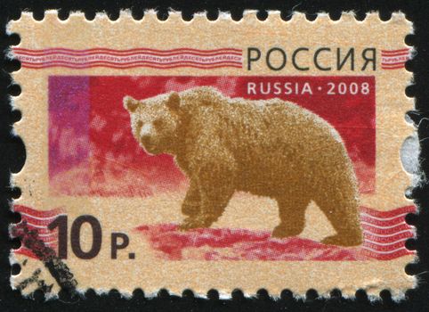 RUSSIA - CIRCA 2008: Image of a bear, circa 2008.