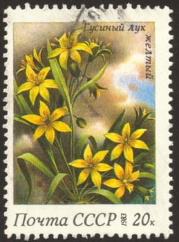 The scanned stamp. The Soviet stamp. Plant with yellow flowers.