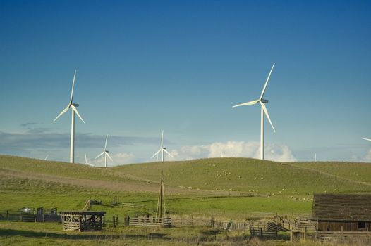 Wind generators in a rural setting with barn, water pump and sheep