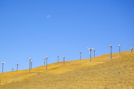 Wind powered electrical generators on a hillside in northern California