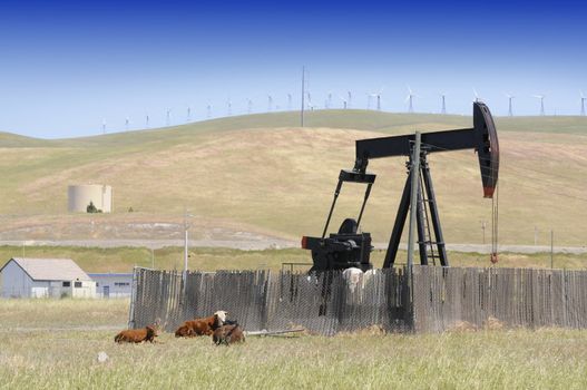 Oil well pump in a pasture with cattle and wind generators behind in the distance providing power to pump up the oil