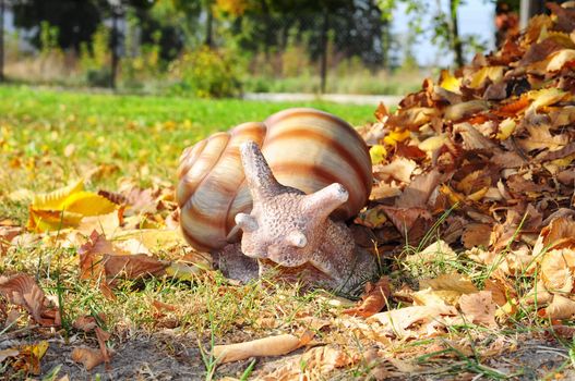 Snail in the grass