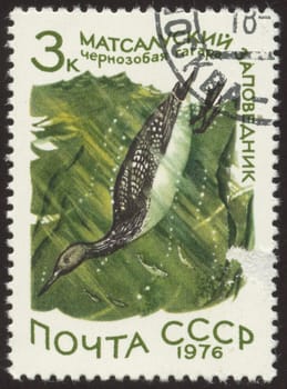The scanned stamp. The Soviet stamp. The duck dives into water.