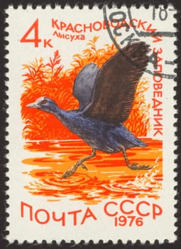 The scanned stamp. The Soviet stamp. The duck flies up from lake.