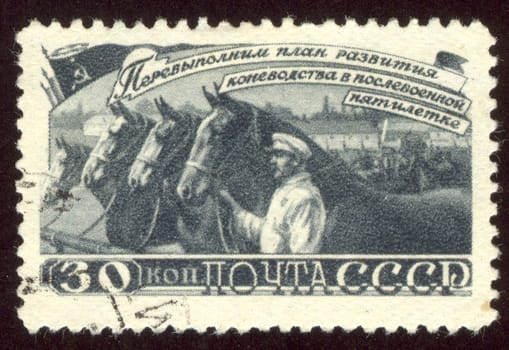 The scanned stamp. The Soviet stamp. Herd of horses. Cultivation of horses.