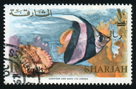 SHARJAH - CIRCA 1983: Fish floats under water, circa 1983.