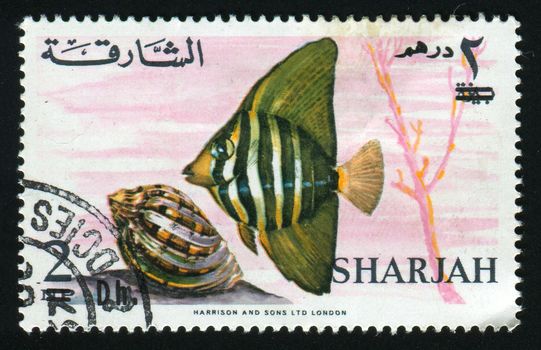 SHARJAH - CIRCA 1983: Fish floats under water, circa 1983.