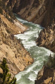 rapids on the river inYellowstone National Park