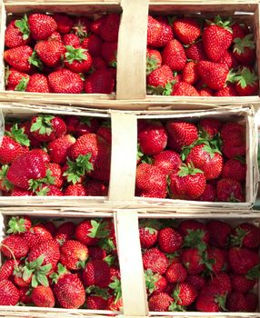 High resolution image. Ripe strawberry in the container.