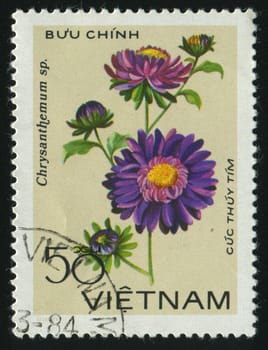 VIET NAM - CIRCA 1984: Flora Chrysanthemun, circa 1984.
