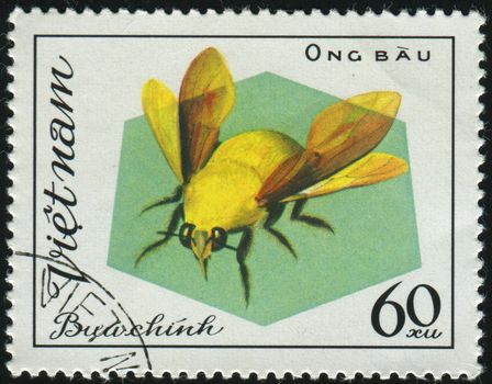 VIET NAM - CIRCA 1982: Insect. Yellow fly, circa 1982