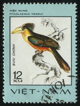 VIET NAM - CIRCA 1981: The big beautiful bird, circa 1981