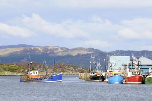 fishing boat coming into Loch Fyne - Tarbert harbor 