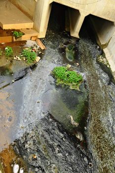 Wastewater pollution