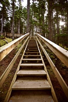 Wooden stairs  at Kitsumkalum Provincial Park