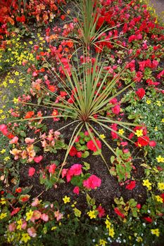 Floral arrangement at Prince Rupert, British Columbia