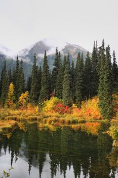 Reflections on a British Columbia lake