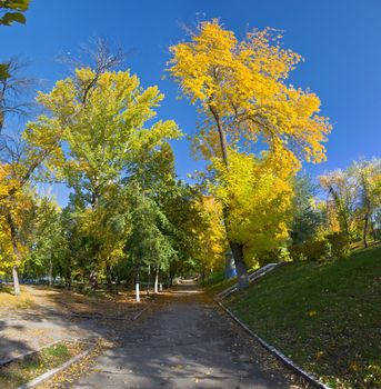 Orange and yellow trees in the park. Autumn landscape, non urban scene.