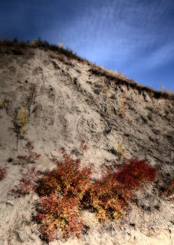 Bushes on a cliff side in Northern British Columbia