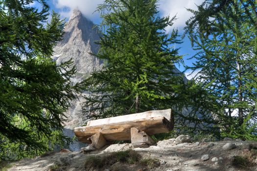 wooden bench betwwen trees in Italian Alps. Image slightly processed with hdr technique