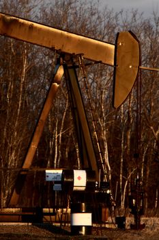 Oil pump near trees in Saskatchewan