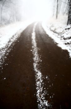 Ice fog in Cypress Hills Provincial Park of Saskatchewan