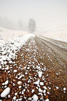 Ice fog in Cypress Hills Provincial Park of Saskatchewan