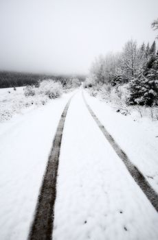 Winter day in the Cypress Hills of Saskatchewan